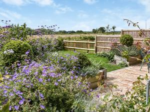 a garden with purple flowers and a wooden fence at Pightle Cottage in Poringland