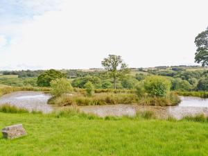 a river in a field with grass and trees at The Stable - Om4 in Mydroilin
