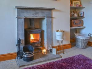 a wood stove in a living room with a purple rug at Alpine Cottage in Carperby