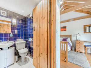 a bathroom with a toilet and a sink at Y Bwthyn-Oxm in Gwynfe