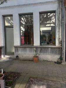 a store front with three windows and a potted plant at Vintage Lovers Antwerp in Antwerp