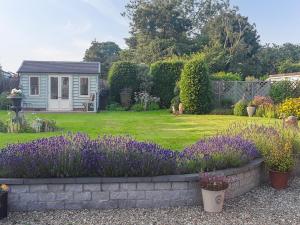 a garden with purple flowers in a yard at Holly Lodge in Hemsby