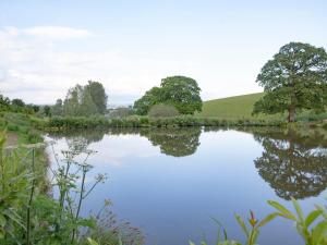 a reflection of trees in the water of a lake at Mallard Roundhouse - Uk33891 in Cullompton