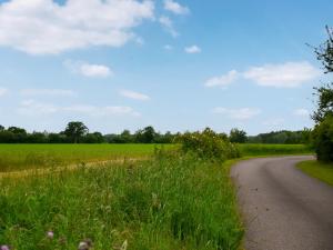 a road in the middle of a field at The Granary Store in Woodrising