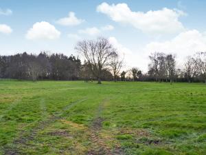 a field of green grass with a tree in it at The Pavilion in Willoughby +23 photos