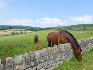 two horses grazing in a field behind a stone wall at The Barn At Grislow Field in Curbar