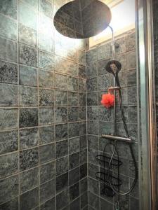 a bathroom with a shower with a black tiled wall at Chambres d'hôtes Sauvian in Sauvian