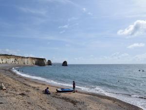 a group of people on a beach near the ocean at Seascape in Sandown