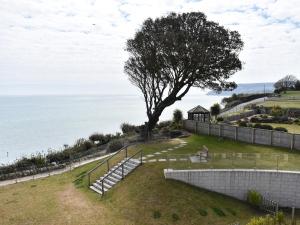 a tree on a hill next to the ocean at Seascape in Sandown +14 photos