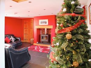 a christmas tree in a living room with a fireplace at Bwthyn Onnen-Oa5 in Ystrad Meurig