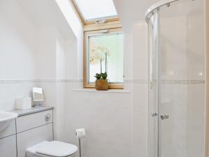 a bathroom with a shower and a toilet and a window at Lochnagar Lodge in Aviemore