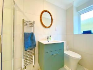 a bathroom with a sink and a toilet and a mirror at Seagrass in Lamlash +10 photos