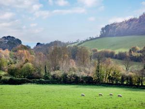 a group of sheep grazing in a green field at Wheelwright Cottages in Branscombe