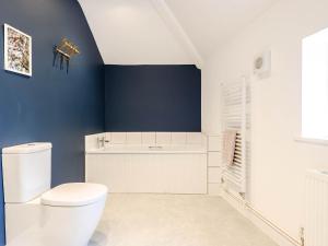 a bathroom with a white toilet and blue walls at Ty Afon in Talybont