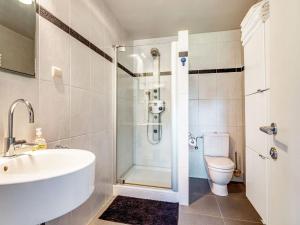 a bathroom with a shower and a sink and a toilet at Alterbiezen in Hoeselt +32 photos