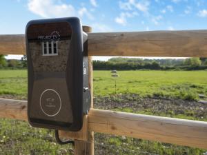 a mailbox on a fence looking at a field at Barnyard in Chetnole