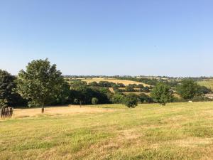 a field of grass with trees in the distance at Trezeal Barn in North Hill