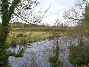 a river in a field with trees at West Lodge - Uk7137 in Newton Stewart