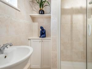 a bathroom with a sink and a blue statue at Dunburgh Wood in Beccles
