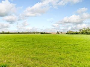 a large field of green grass with a cloudy sky at Henrys Retreat in Ingoldsby +24 photos