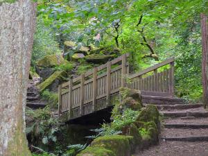 a wooden bridge over a stream in a forest at Tilly's Den in Skipton