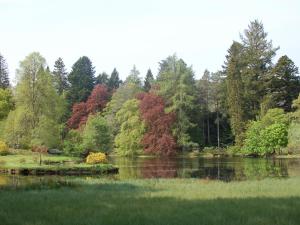 a pond in a park with trees in the background at Cray House - Ukc4632 in Glenshee