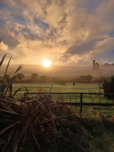 a field with the sun setting in the background at The Paddock at Pioneer Billys in Camborne