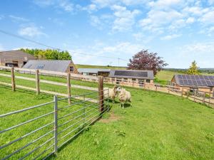 a sheep standing in a field behind a fence at The Old Stables 1 - Uk46682 in Shipton under Wychwood