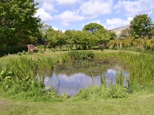 a pond in the middle of a field with a bench at Copper House - 18435 in Bempton