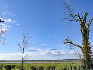 a tree in the middle of a field at Cree Lodge - Uk13636 in Creetown