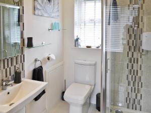 a bathroom with a toilet and a sink and a shower at Oswald Lodge in Llanon