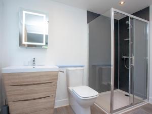 a bathroom with a toilet and a sink and a shower at Kingfisher Lodge - Uk33889 in Cullompton