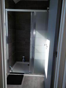 a shower with a glass door in a bathroom at Appartement meublé Tilff in Esneux