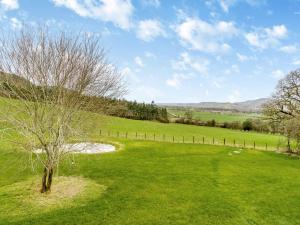 a green field with a tree in the middle at Hope Hideaway in Buttington