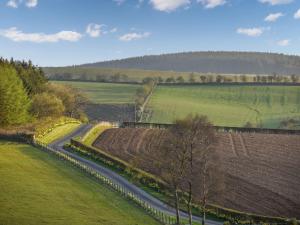 a road in the middle of a field at Yonderton Mcgill Cottage - Uk11182 in Hollybush