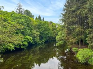 a river through a forest with trees and water at Bank Cottage in Grindleford Bridge +13 photos