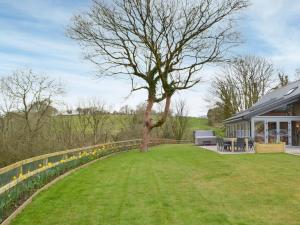 a tree in a yard next to a house at Cwm Hyfryd in Llanboidy