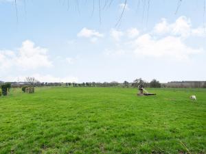 a person sitting in a field of green grass at Greenbank Farm in Weeton +13 photos