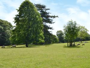 a group of animals grazing in a field with trees at Garden Cottage in Westleigh +5 photos