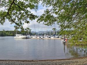 a bunch of boats docked at a marina at The Old Chapel in Ulverston
