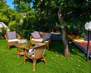 a patio with chairs and a table and a tree at Casa RUDOM in Aci SantʼAntonio