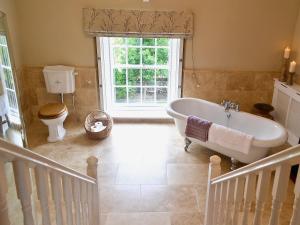 a bathroom with a bath tub and a toilet at Awelfa - On7 in Aberaeron