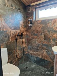 a bathroom with a shower and a toilet at Gästehaus "Säntis" in Carnikava