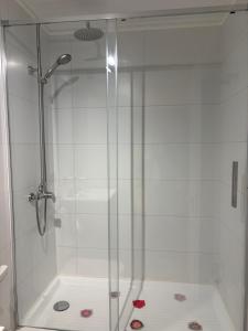 a shower with a glass door in a bathroom at Nova Studio Dpto nuevo a pasos de Av Alemania in Temuco +21 photos