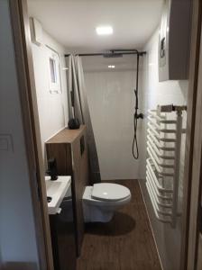 a small bathroom with a toilet and a sink at Zielona Polana in Debrznik