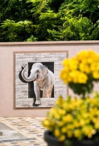 a picture of an elephant on a wall at Araliya Villa in Tangalle