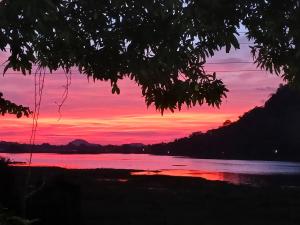 a sunset over a body of water with a tree at Lakeside Echo Homestay in Kurunegala