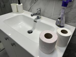 a bathroom sink with two rolls of toilet paper on it at La Pescheria - Mini Apartments in Catania +9 photos