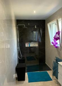 a bathroom with a shower with a blue rug at Villa ste Catherine in Porto-Vecchio