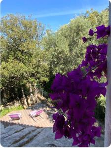 a group of chairs and purple flowers on a deck at Villa ste Catherine in Porto-Vecchio